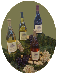 four-wine-bottles-2vg